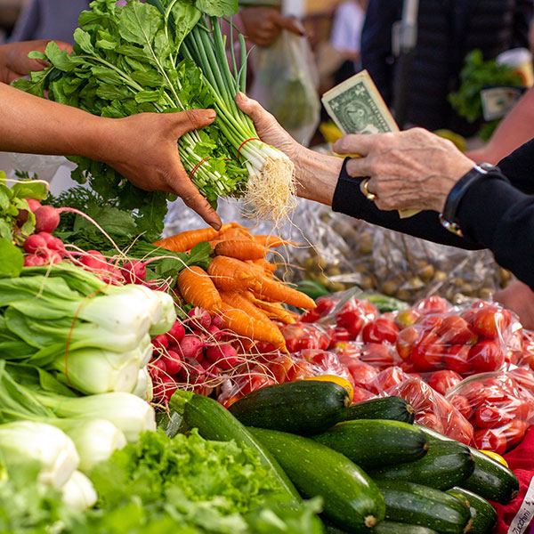 A shopper choosing fresh produce
