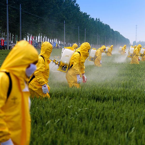 Crops being sprayed with chemicals