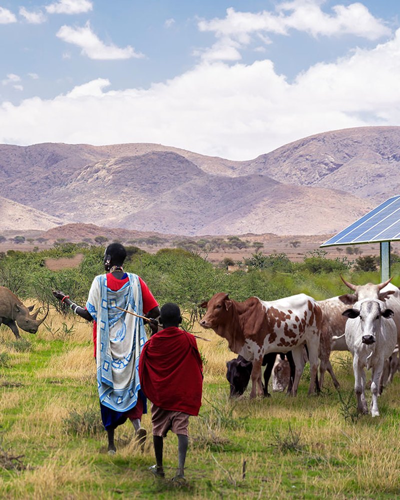 2022 agri-solar dryland concept: people, cattle and solar on recovering ground